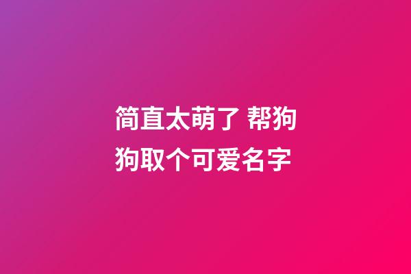 简直太萌了 帮狗狗取个可爱名字